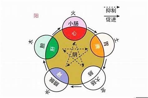 航空业五行|行业中的五行中的属性